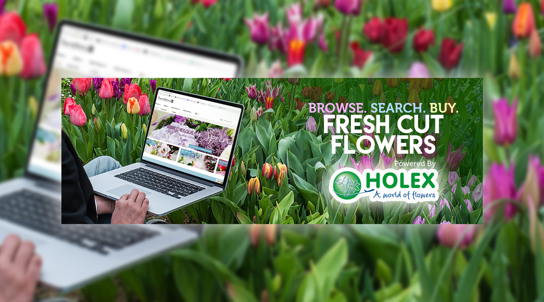 How To Video - Vol. 3: Buying Fresh Flowers with Holex