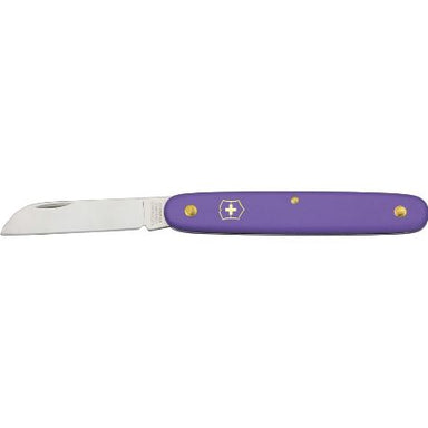 Straight 4" Blade, Purple Handle