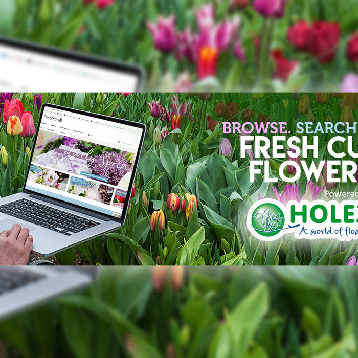 How To Video - Vol. 3: Buying Fresh Flowers with Holex