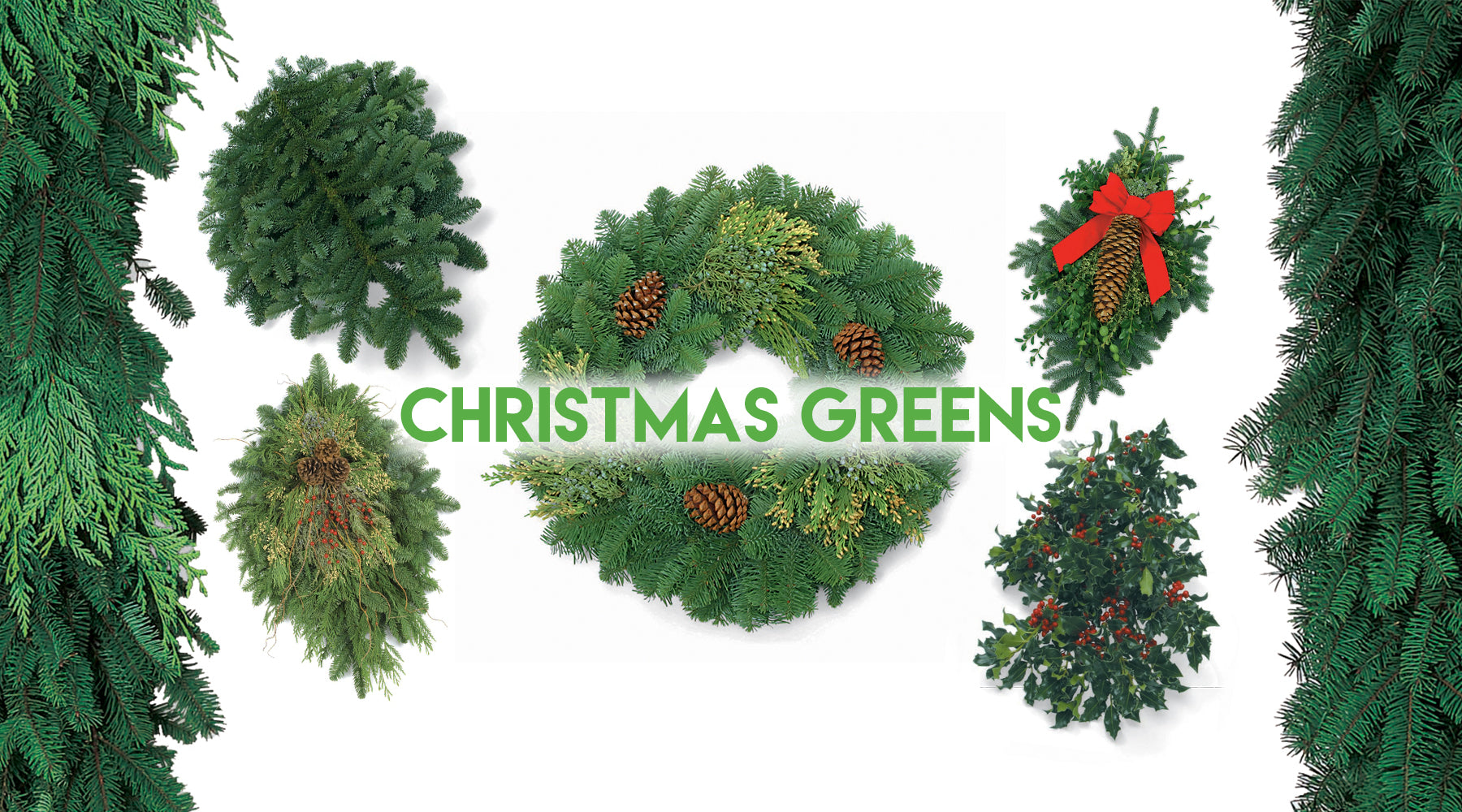 How To Video - Vol. 2: Pre-Order Christmas Greens Online