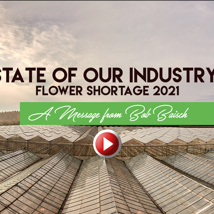 Baisch & Skinner State of the Industry: Flower Shortage Fall 2021