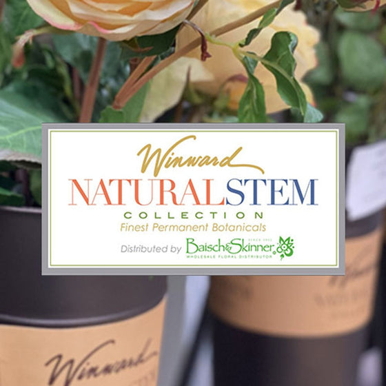 Baisch & Skinner Wholesale Floral Distributor