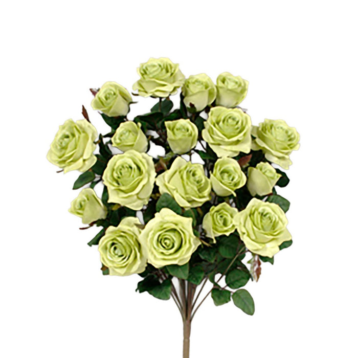 Grandiflora Rose Bush