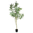 78" Potted Eucalyptus Tree - Green