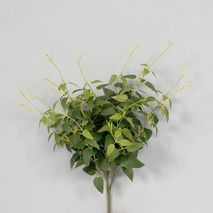 Smilax Leaves Bush X 15 - Green