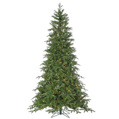 12' Nordmann Fir Tree - Green