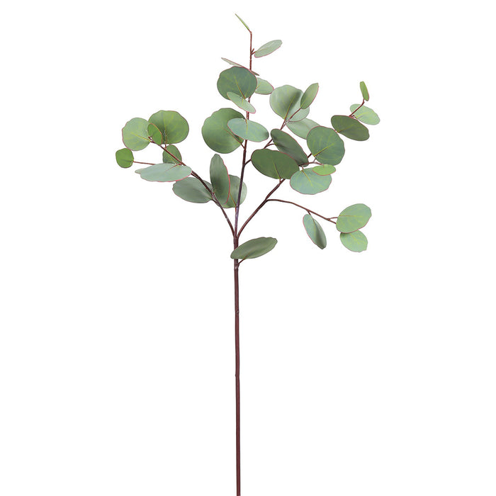 26" Eucalyptus Spray - Green/Grey