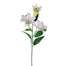 27 in Lily Stem - White