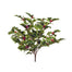 17 in Holly Bush - Variegated