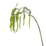 31 in Hanging Amaranthus Spray - Green
