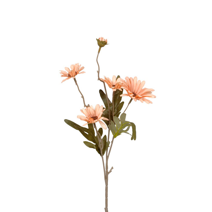 Fall Daisy - Dusty Orange