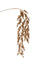 39" Metallic Glitter Hanging Eucalyptus Spray - Gold