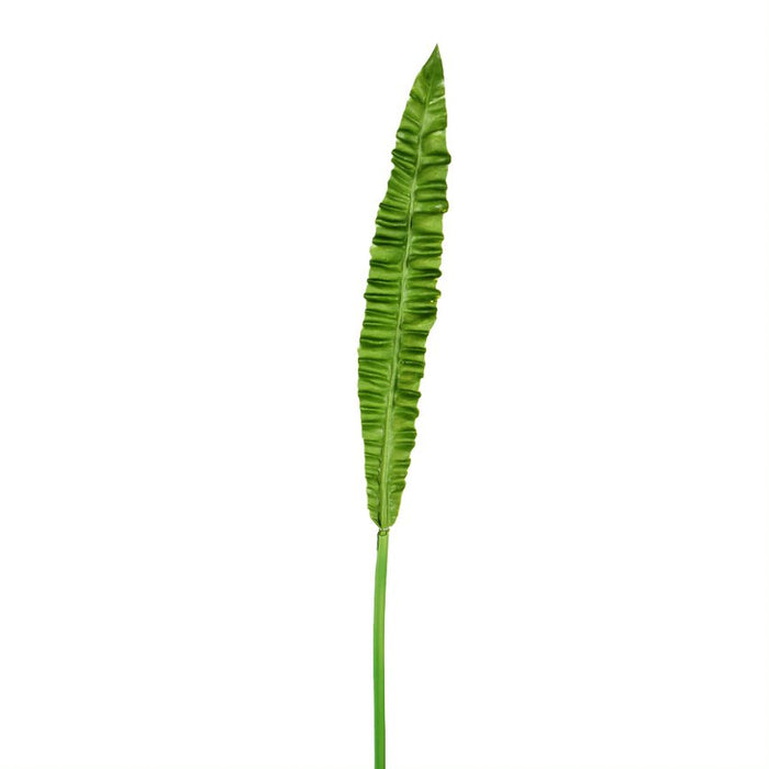 37" Bird Nest Fern Leaf Stem - Green