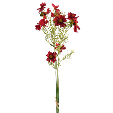 20" Cosmos Bundle - Red