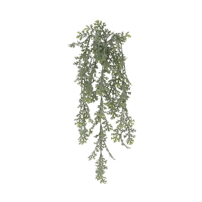 29 in Powdered Dusty Miller Hanging Bush - Green