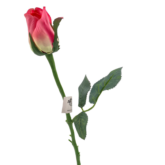 22 1/2 in Single Princess Mary Rose Bud