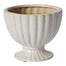 7.5 in Coronation Compote - White