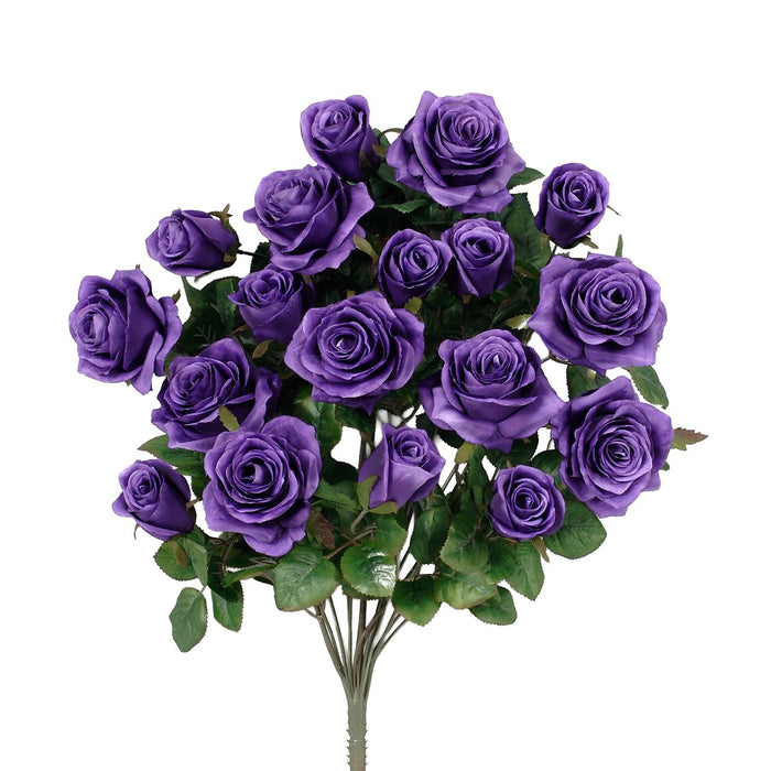 Grandiflora Rose Bush