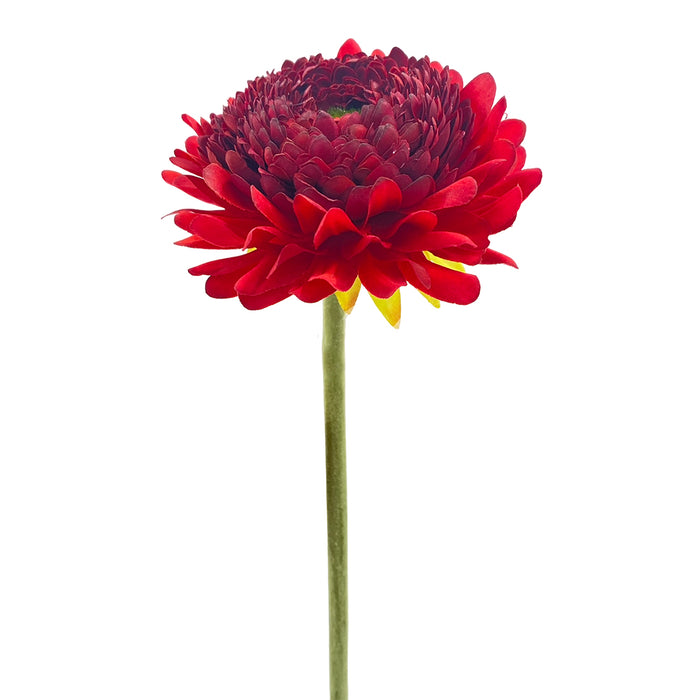 18.5" Shasta Gerbera Stem - Red