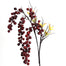 43" Poke Berry Branch - Red