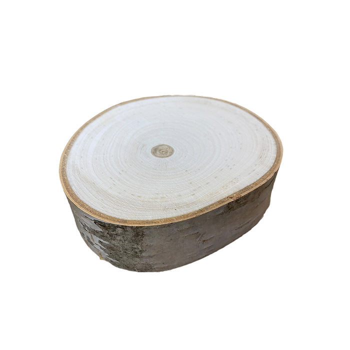 4-6" Medium Birch Rounds