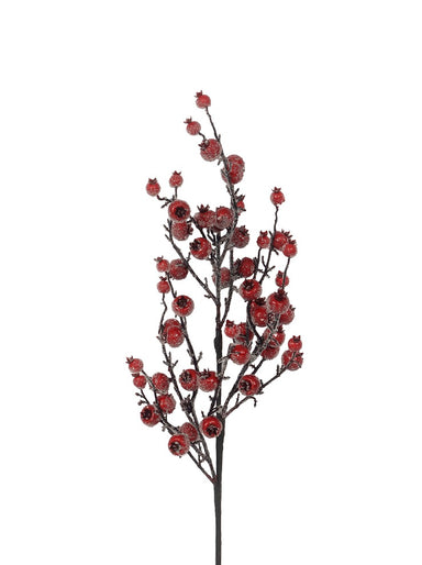 30" Iced Rose Hip Spray - Red