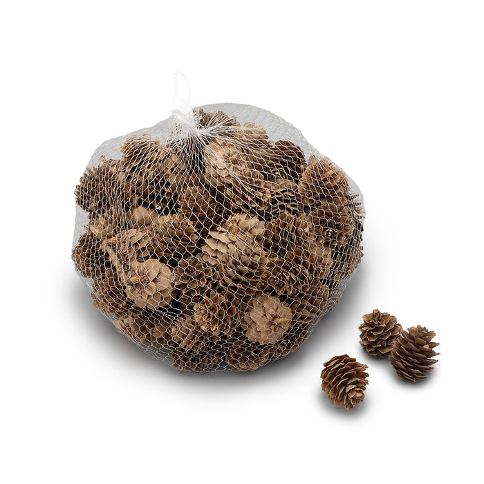 Bag of Pinecones