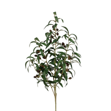 Olive Branch w/Olives - Dark Green