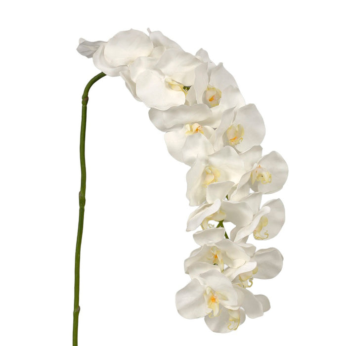 45" Polyester Coated Phalaenopsis with 15 Flowers - White