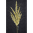 31" Glitter Cedar Grass Spray - Gold
