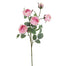 25 in Rose Spray - Pink