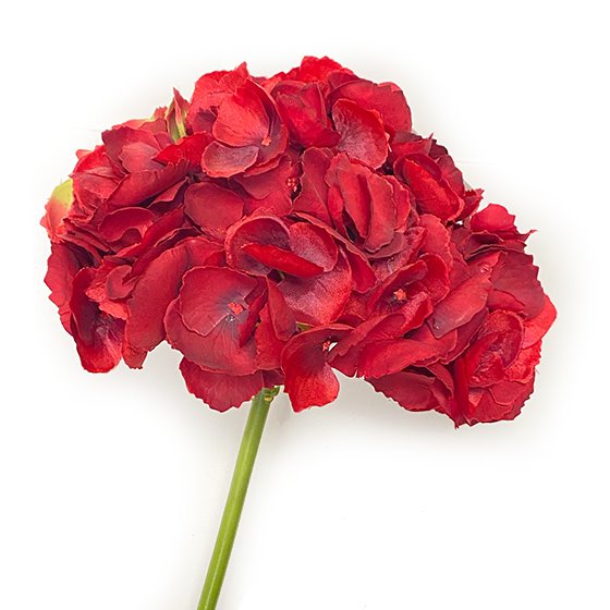19" Hydrangea - Red