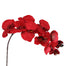 38" Polyester Phalaenopsis