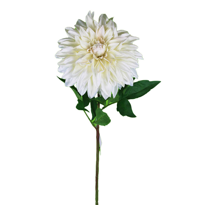 29 in Stellar Dahlia Stem