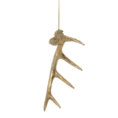 6 1/4 in Poly Antler Ornament w/Hanger - Gold/Cream