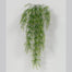 34 in Wild Grass Bush Vine - Green