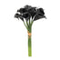 13 in Calla Lily Bundle