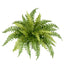 Polyester Boston Fern Bush