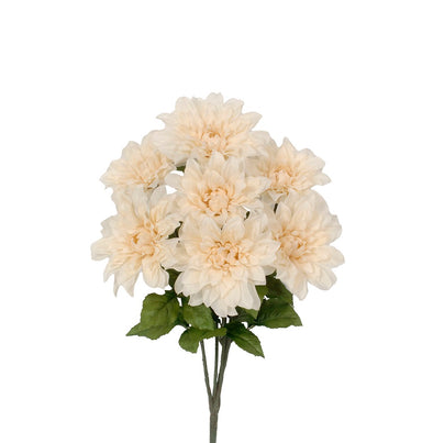 22" Dahlia Bush - Beige