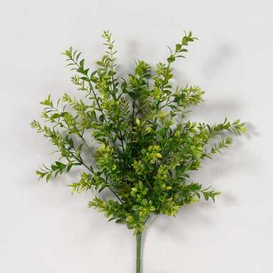 20" New Boxwood Bush - Green/Light Green