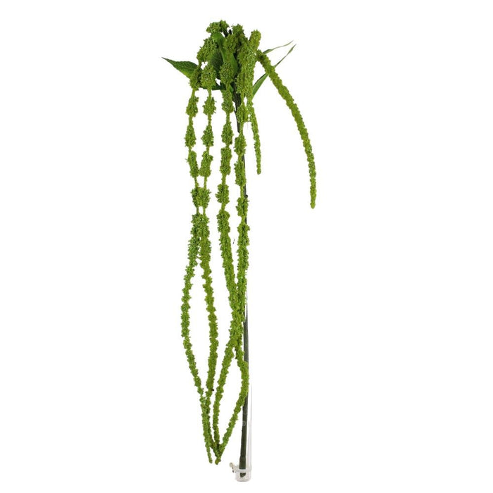 48 in Amaranth Spray - Green