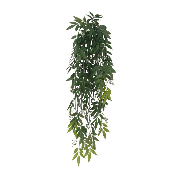 37 in Ruscus Hanging Bush - Green