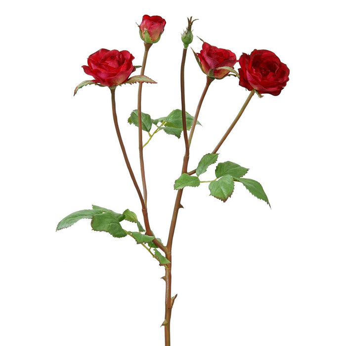 19" Rose Floribunda - Red