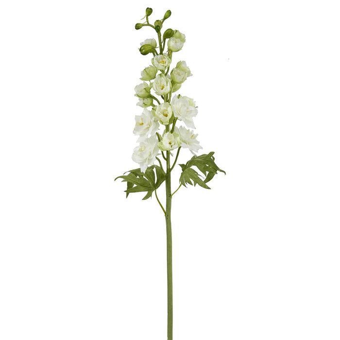 Delphinium Short Stem - White