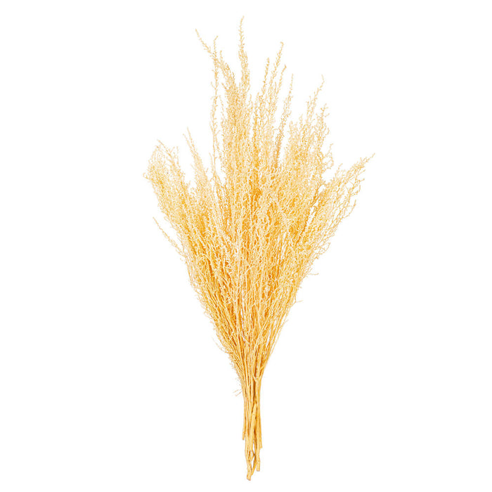 18 in Bleached Stoebe (2.5 oz Bunch)