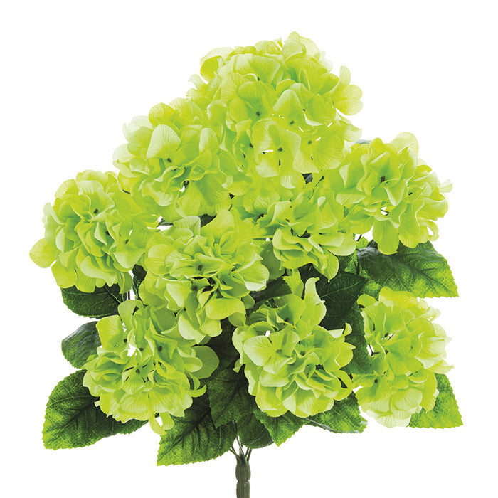 20" In Hydrangea Bush - Green