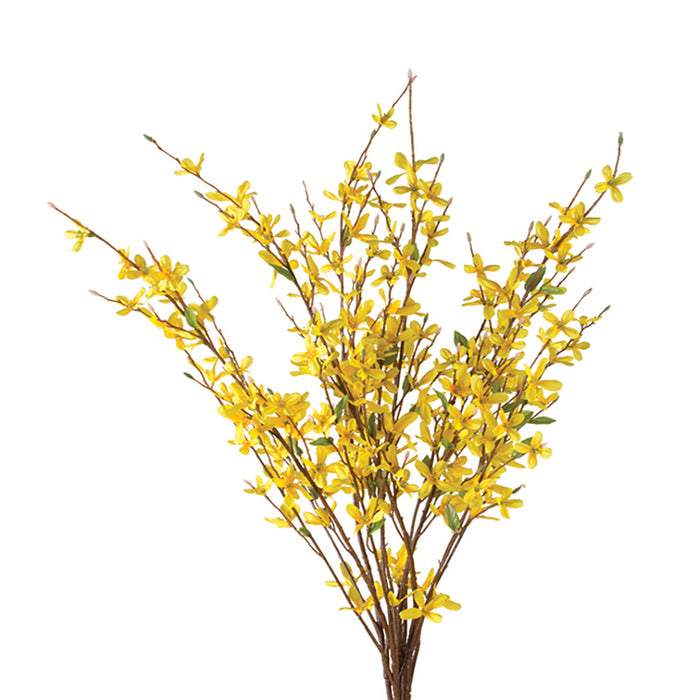 Forsythia Bundle