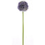 25" Allium Stem - Purple