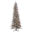 9 ft Snowcrest Pencil Pine Tree