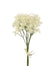 14 in Starflower Bundle - Cream